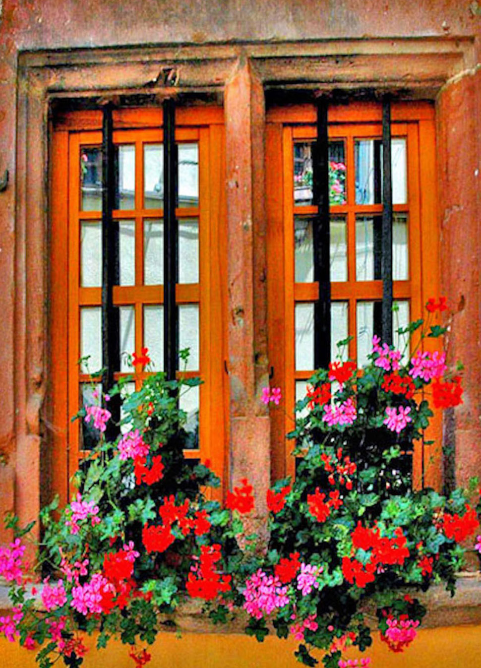 Pink and Red Kalanchoes in a Window Box ~ Kaysersberg, Alsace, France