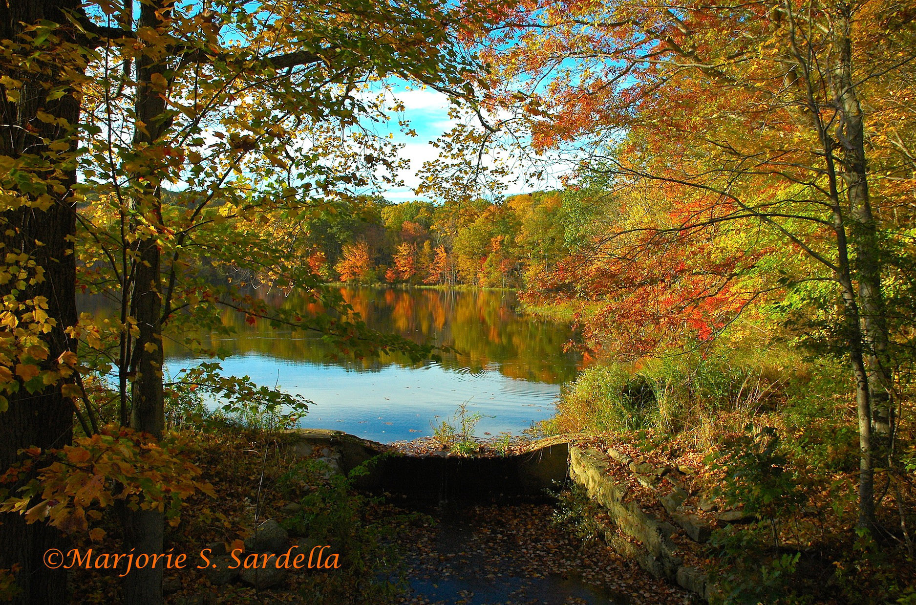 Fall Foliage ~ Northfield, Vermont